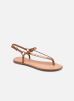 FILANNA par Aldo 38 female