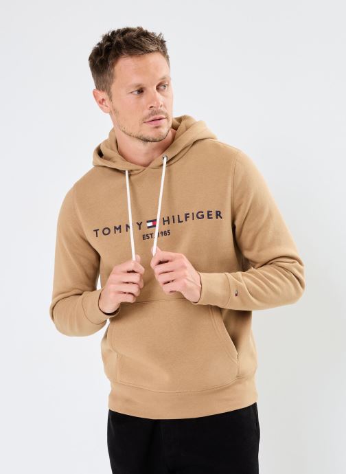 Vêtements Tommy Hilfiger Tommy Logo Hoody pour  Accessoires