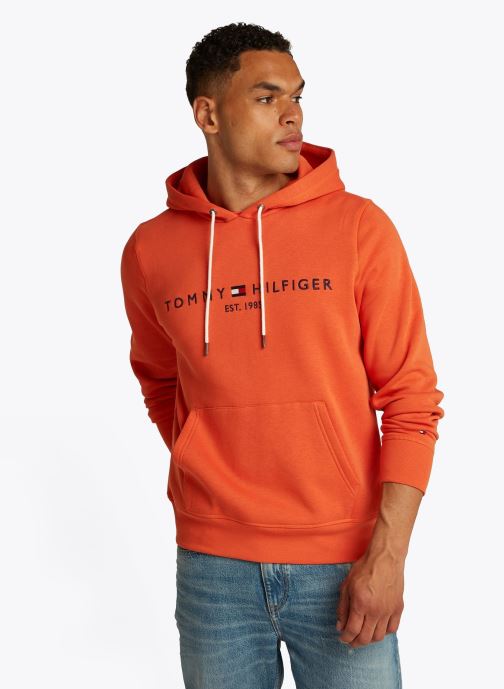Vêtements Tommy Hilfiger Tommy Logo Hoody pour Accessoires