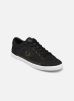 Fred Perry Baskets Baseline Twill pour Homme Male 40 B5314-102