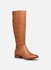 DUDININ par Aldo 37 female