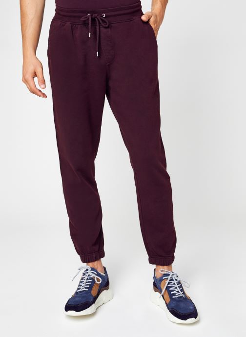 Classic Organic Sweatpants par Colorful Standard