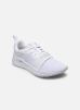 Puma Baskets Wired Run M pour Homme Male 39 373015-02