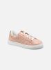 THEROSIE par I Love Shoes 31 female