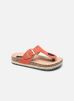 THRAICY par I Love Shoes 36 female