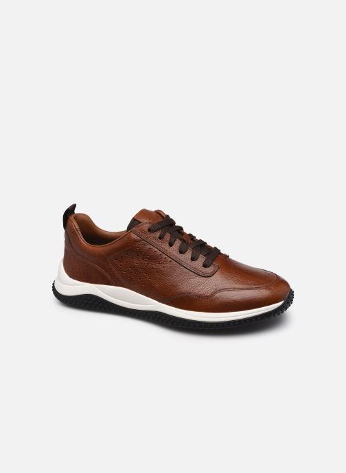 Puxton Lace par Clarks
