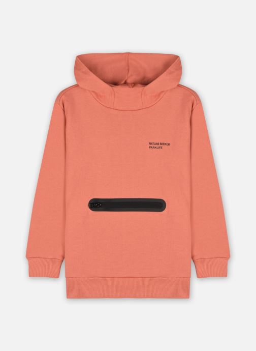 Nkmdelvan Ls Sweat W Hood Unb par Name it