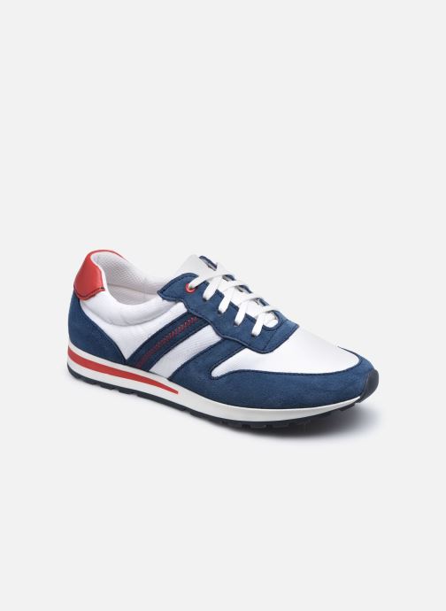 STRONA par Marvin&Co