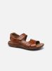 Rieker Sandales et nu-pieds Claude pour Homme Male 43 28963/24