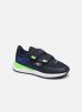 KD-Fit V par Kangaroos 31 male