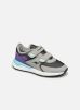 KD-Fit V par Kangaroos 35