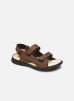 SAYRRON par TBS 40 male