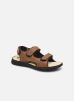 SAYRRON par TBS 40 male