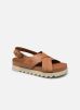 Santa Monica Sunrise par Timberland 39 female