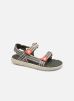 FTW KidsPerkins Row par Timberland 38 male