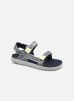 FTW KidsPerkins Row par Timberland 38 male