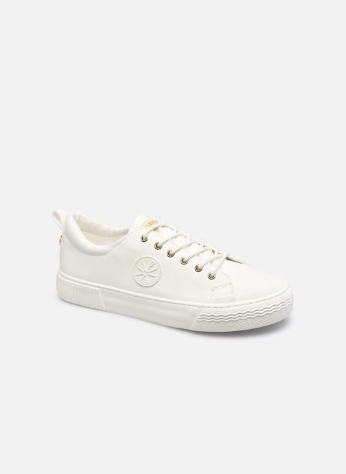 STUDIO 02 par Palladium