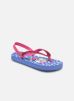 Haley Elas par Hello Kitty 22 female