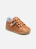 Figo par Babybotte 19 male