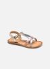 Calicot par Mod8 28 female