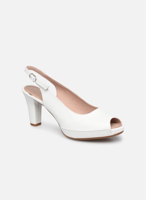 Blesa D 6604 par Dorking