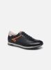 Sander F 1189 par Fluchos 40 male