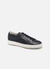 CLEANIC 1 par Santoni 40 male