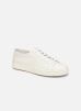 CLEANIC 1 par Santoni 41 male