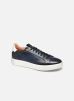 WILD par Santoni 40 male