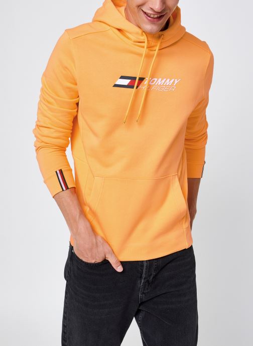 Terry Logo Hoody par Tommy Sport