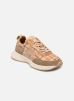 Armistice Baskets MOON ONE W pour Femme Female 36 LASAYK04CA