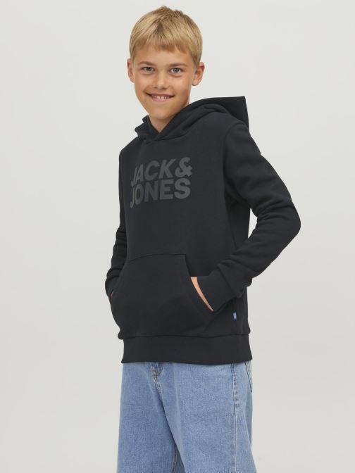 Vêtements Jack & Jones Jjecorp Logo Sweat Hood Noos Jr AH21 pour Accessoires