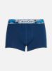 Calvin Klein Vêtements Trunk pour Accessoires Male S 000NB3140AC5F