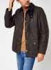 Bodey Wax par Barbour s male
