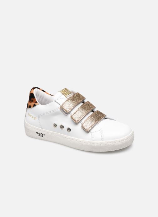 C-GARBIS par Semerdjian