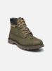 Caterpillar Bottines et boots COLORADO 2.0 pour Homme Male 40 919162-60-6