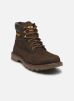 Caterpillar Bottines et boots COLORADO 2.0 pour Homme Male 40 976050-60-92