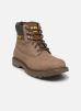 Caterpillar Bottines et boots COLORADO 2.0 pour Homme Male 40 976050-60-93