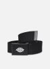ceintures dickies orcutt webbing belt pour  accessoires