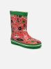 Kickrain par Kickers 24 female