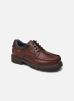 Fluchos Chaussures à lacets DOUGLAS F1320 pour Homme Male 39 Douglas F1320/ YANKEE BRANDY+COM1