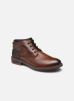 TERRY F1341 par Fluchos 43 male