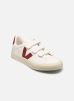 Veja Baskets Recife Logo W pour Femme Female 36 RC0502637