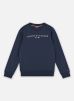 Tommy Hilfiger Vêtements Essential Sweatshirt pour Accessoires Male 3A KS0KS00212C87