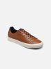 PREMIUM LEATHER VULCANIZED par Tommy Hilfiger 40 male