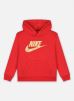 Nike Vêtements NKB METALLIC HBR GIFTING HOODY pour Accessoires Male 3 - 4A 86I446-U10
