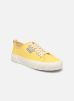 Armistice Baskets VERSO SNEAKER W pour Femme Female 37 MAUABR0434