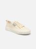 Armistice Baskets VERSO SNEAKER W pour Femme Female 36 MAUABR04CR