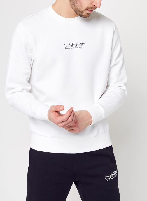 Vêtements Calvin Klein LOGO COORDINATES SWE pour  Accessoires