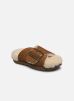 UGG Chaussons W OUTSLIDE BUCKLE pour Femme Female 38 1125048-CTSD